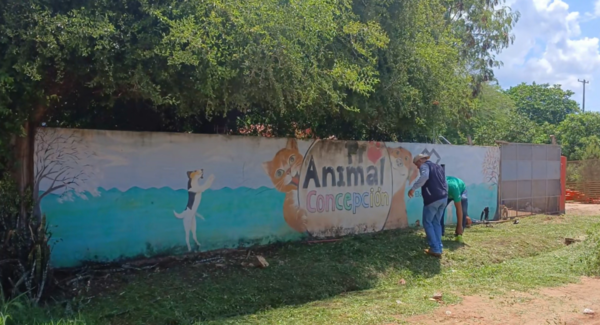 Matan a golpes a perro tras supuesto intento de robo en refugio de animales - Unicanal
