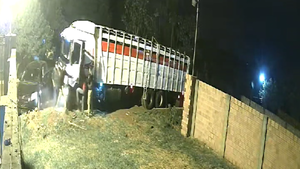 Millonario asalto a transportista de ganado en Ciudad del Este - 1000 Noticias
