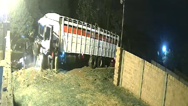 Millonario asalto a transportista de ganado en Ciudad del Este - 1000 Noticias