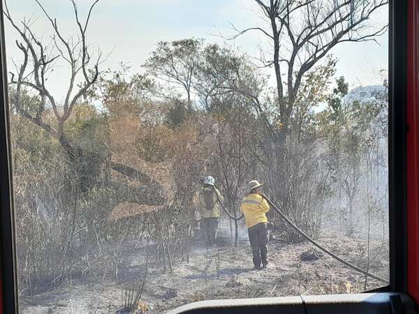 Reportan incendio forestal de gran magnitud en la Reserva San Rafael - Nacionales - ABC Color