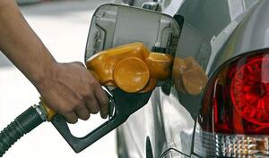 Precios volátiles para el combustible: diésel estable y nafta en alza, según consultora | Análisis Macro | 5Días