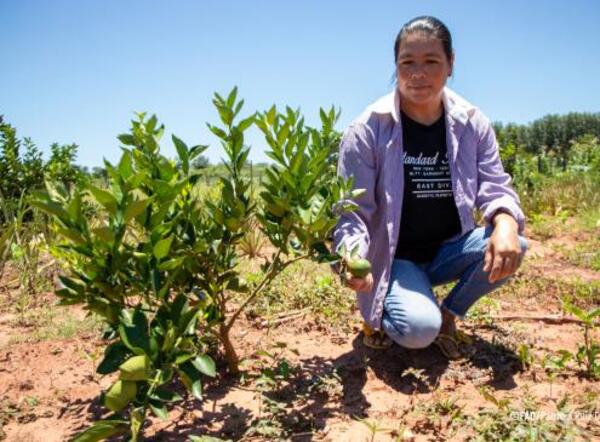 Proyecto Proeza Paraguay beneficia a más de 1.400 familias campesinas e indígenas - ADN Digital