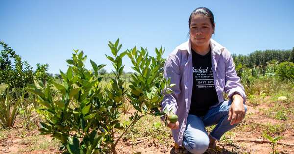 La Nación / Más de 1.400 familias campesinas e indígenas fueron beneficiadas en el marco de Proeza