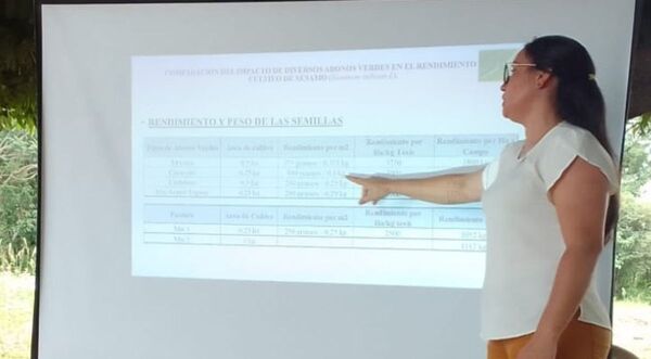 Presentaron resultados de ensayos sobre el cultivo de Sésamo en San Pedro