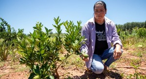 PROEZA benefició a 1.400 familias campesinas e indígenas con sistemas agroforestales