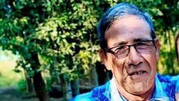 Hombre muere tras ser atacado por avispas