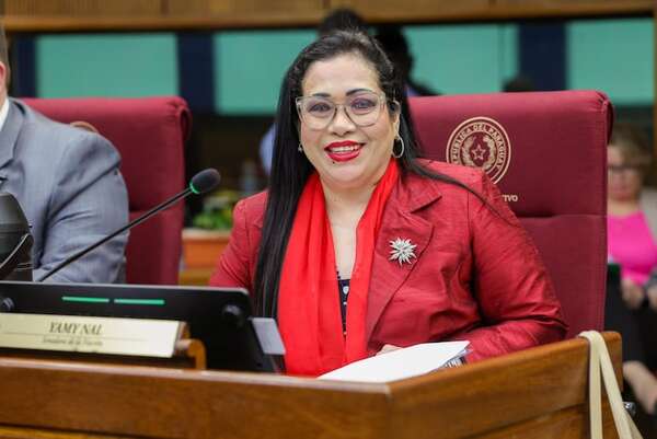 Senadores plantean pedir informe al INE sobre “nepobaby” de “Yamy Nal” - Política - ABC Color