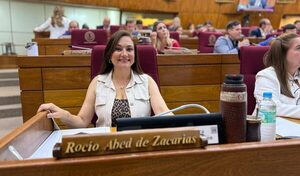 Debatirán el proyecto que pretende crear juzgados y tribunales especializados en violencia contra la mujer – Diario TNPRESS