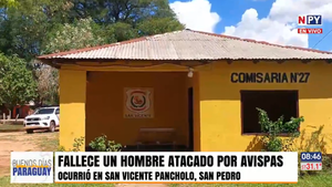 Hombre fallece tras ataque de enjambre de avispas en San Pedro: “Era alérgico”