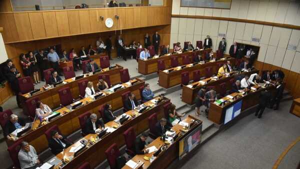 Senado inaugura sesiones del año con una invitación de comisión a Teresa Barán