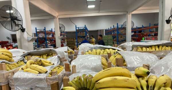 Diario HOY | Destacan a las Mipymes como piezas clave para la alimentación escolar