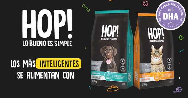 La Nación / Llegó Hop! el balanceado que potencia la inteligencia de tus mascotas