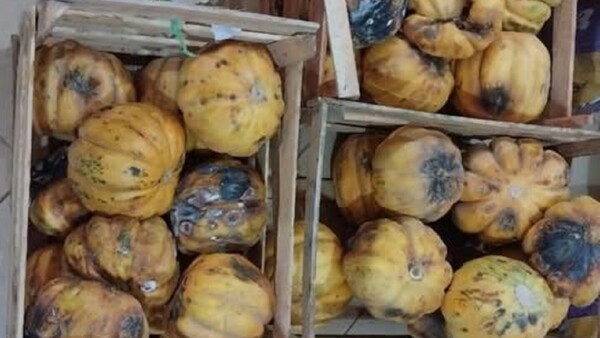 Distribuidora cambia frutas descompuestas de escuela del Alto Chaco