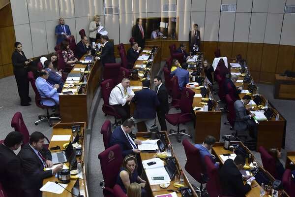 Senado exige al INE datos sobre ‘nepobaby’ de Yamy Nal - Política - ABC Color