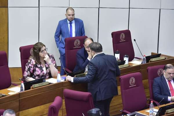 Senadores exigen a Peña a tomar medidas políticas y dejar de ser un “presidente para Netflix” - Política - ABC Color