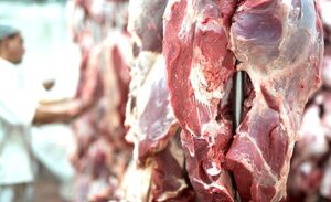 Estados Unidos ya se ubica como el tercer mayor comprador de la carne paraguaya | Agronegocios | 5Días