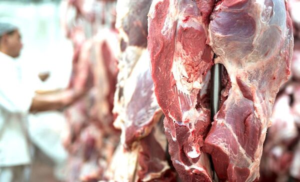 Estados Unidos ya se ubica como el tercer mayor comprador de la carne paraguaya | Agronegocios | 5Días