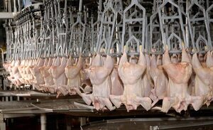 Los envíos de carne aviar crecen hasta febrero mientras se espera la apertura de Taiwán