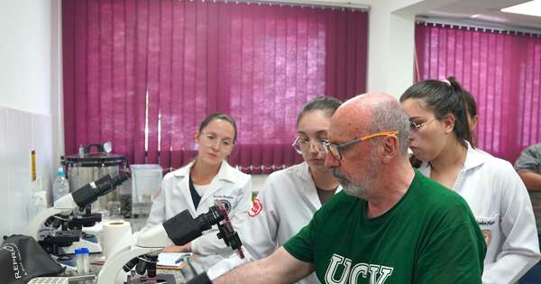 Cómo enfrentar el estrés térmico