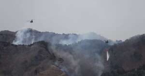 La Nación / La lluvia frena el peor incendio forestal de Japón en 50 años