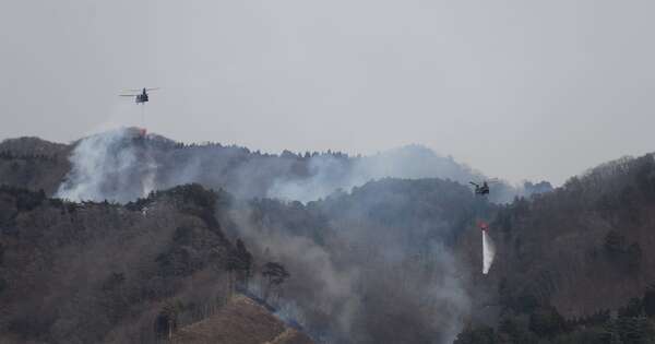 La Nación / La lluvia frena el peor incendio forestal de Japón en 50 años
