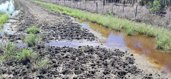 En Alto Paraguay no llegan las grandes lluvias y ya se produce el aislamiento de una comunidad - Noticias del Chaco - ABC Color
