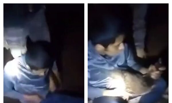 (VIDEO)¡Ladrón fue pillado por comisión garrote con una gallina guardada “ahí abajo”!