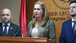 Ministra reiteró en reunión en el Congreso que UTI neonatal de Villarrica debía estar funcionando - 1000 Noticias