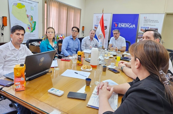 Itaipú participa en reunión del Comité Nacional de Eficiencia Energética - ADN Digital