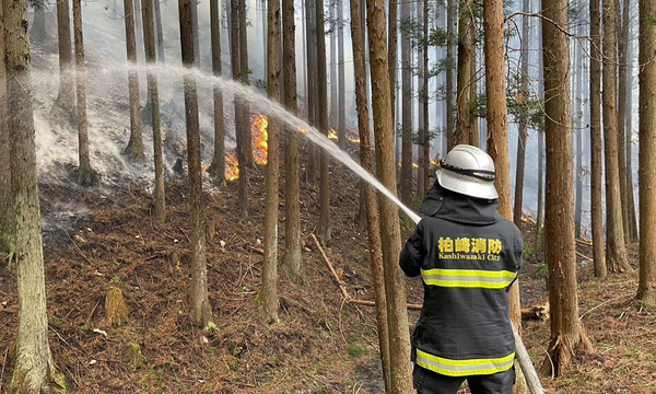 Lluvia da un respiro a Japón tras el peor incendio forestal en 50 años - OviedoPress