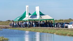 Agrofértil ofrece su amplio portafolio para cubrir las necesidades del arrocero