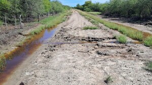 La comunidad de Karandayty queda aislada en plena sequía en Alto Paraguay