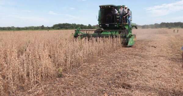 La Nación / MEF proyecta estabilidad económica pese a desafíos en el sector agrícola