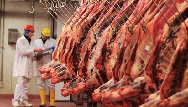 Carne paraguaya en Corea del Sur: buscan sumar cortes con huesos y esperan la última auditoría