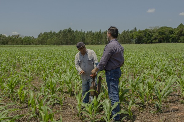 Impulsan la integración de la forestación con otros rubros mediante asistencia técnica en Caazapá