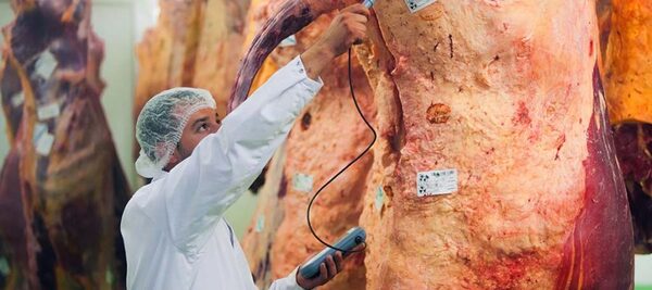 Los frigoríficos brasileños adoptan “medidas correctivas” para reanudar las exportaciones a China