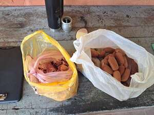 Mujer detenida por robar carne y chorizos - Policiales - ABC Color