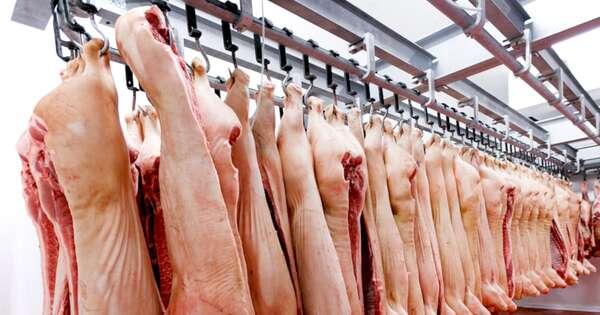La Nación / Envíos de carne porcina aumentaron en 51 % en el primer bimestre