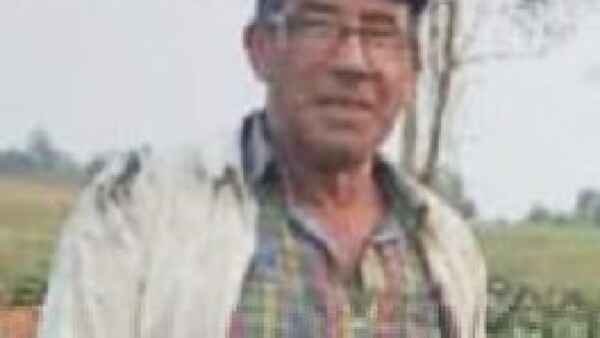 Se tiró a un arroyo para intentar salvarse de abejas
