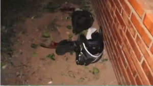 Joven motociclista falleció tras chocar contra una muralla