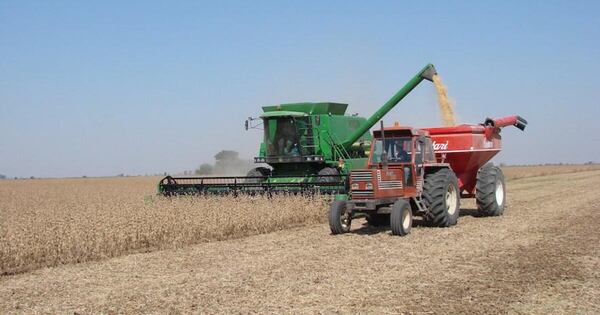 Diario HOY | Campaña “Estamos con el Campo” busca fortalecer producción agropecuaria