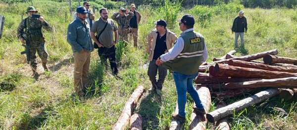 Allanan empresa Atenil por tala ilegal de quebracho y palo santo en Puerto Pinasco - PDS RADIO Y TV