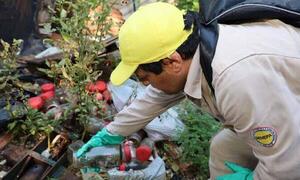 Detectan dos casos del serotipo de dengue DENV-3, ambos en niños – Prensa 5