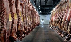 Carne ovina paraguaya es altamente demandada a nivel mundial