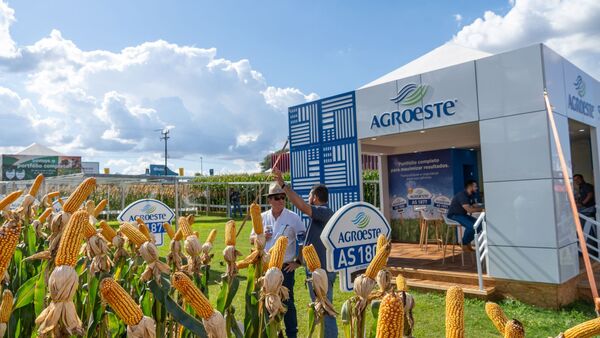 Más rendimiento, más tecnología: Agrofértil y Agroeste preparan novedades en genética de soja