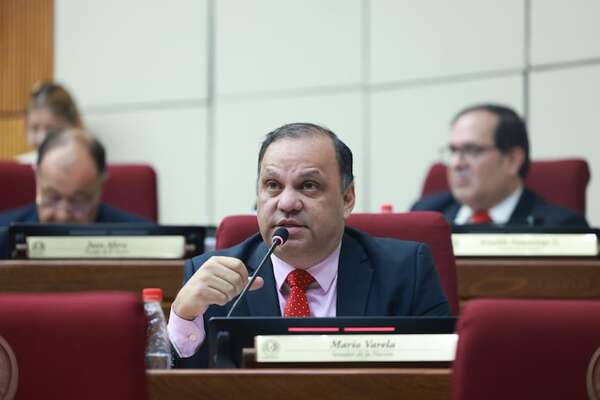 Senadores Varela y Maidana prometen rendir cuentas de sus votos en el JEM - Política - ABC Color