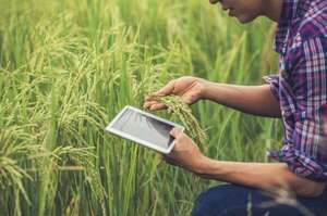 “Estamos abiertos para todos, somos especialistas en Agronegocios” - ABC Campo - ABC Color