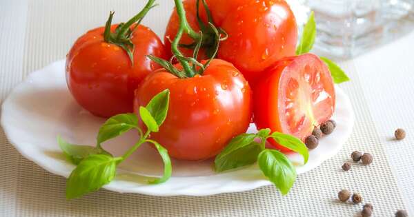 Tomate para todo el año: plan avanza con primeros frutos