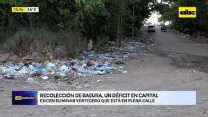 Deficitaria recolección de residuos en Asunción: barrio San Juan tiene un vertedero en plena calle - ABC Noticias - ABC Color