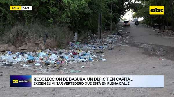 Deficitaria recolección de residuos en Asunción: barrio San Juan tiene un vertedero en plena calle - ABC Noticias - ABC Color